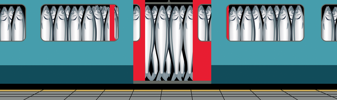 Sardinhas exemplificando passageiros em um trem lotado